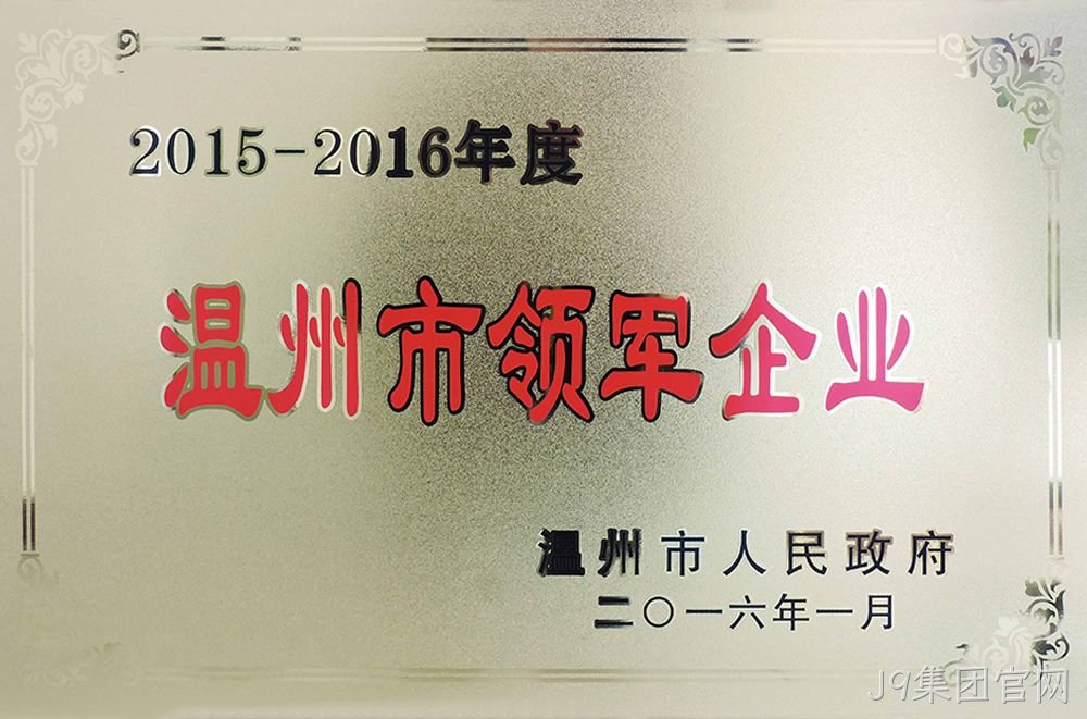 2015-2016年度温州市领军企业